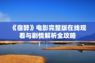 《宿醉》电影完整版在线观看与剧情解析全攻略