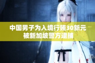中国男子为入境行贿30新元 被新加坡警方逮捕
