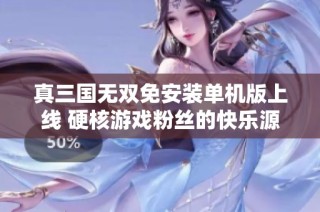 真三国无双免安装单机版上线 硬核游戏粉丝的快乐源泉大揭秘