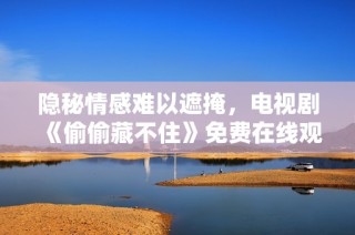 隐秘情感难以遮掩，电视剧《偷偷藏不住》免费在线观看