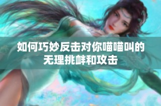 如何巧妙反击对你喵喵叫的无理挑衅和攻击