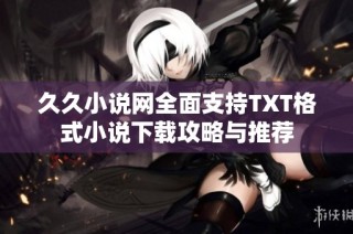 久久小说网全面支持TXT格式小说下载攻略与推荐
