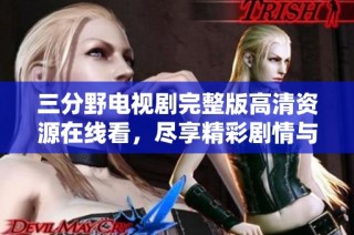 三分野电视剧完整版高清资源在线看，尽享精彩剧情与演出