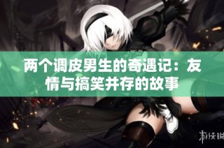 两个调皮男生的奇遇记：友情与搞笑并存的故事