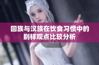 回族与汉族在饮食习惯中的别样观点比较分析
