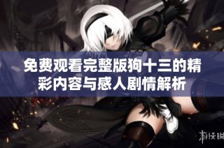 免费观看完整版狗十三的精彩内容与感人剧情解析