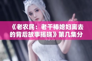 《老农民：老干棒媳妇离去的背后故事揭晓》第几集分析