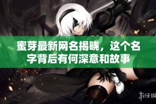 蜜芽最新网名揭晓，这个名字背后有何深意和故事