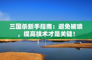 三国杀新手指南：避免被喷，提高技术才是关键！
