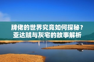 牌佬的世界究竟如何探秘？亚达贼与灰宅的故事解析