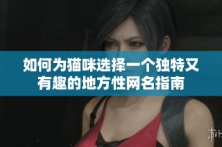 如何为猫咪选择一个独特又有趣的地方性网名指南
