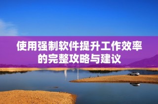 使用强制软件提升工作效率的完整攻略与建议