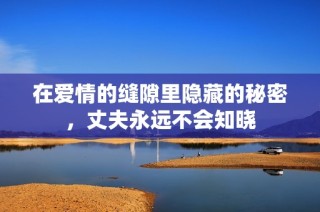在爱情的缝隙里隐藏的秘密，丈夫永远不会知晓