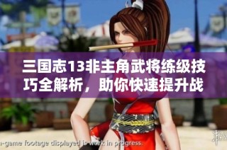 三国志13非主角武将练级技巧全解析，助你快速提升战力