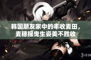 韩国朋友家中的丰收麦田，麦穗摇曳生姿美不胜收