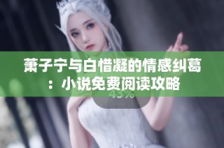 萧子宁与白惜凝的情感纠葛：小说免费阅读攻略