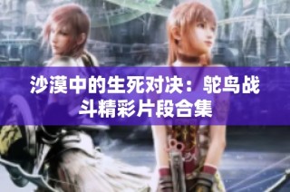 沙漠中的生死对决：鸵鸟战斗精彩片段合集
