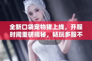 全新口袋宠物猪上线，开服时间重磅揭秘，畅玩多服不停歇！