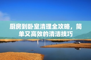 厨房到卧室清理全攻略，简单又高效的清洁技巧