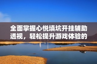 全面掌握心悦填坑开挂辅助透视，轻松提升游戏体验的教程