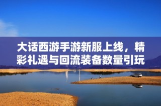 大话西游手游新服上线，精彩礼遇与回流装备数量引玩家关注