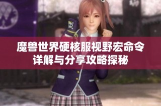 魔兽世界硬核服视野宏命令详解与分享攻略探秘