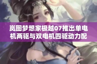 岚图梦想家极越07推出单电机两驱与双电机四驱动力配置选择