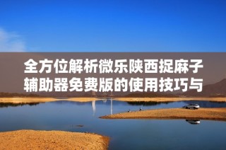 全方位解析微乐陕西捉麻子辅助器免费版的使用技巧与攻略