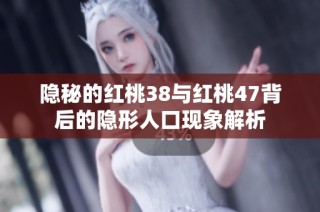 隐秘的红桃38与红桃47背后的隐形人口现象解析
