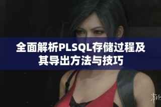 全面解析PLSQL存储过程及其导出方法与技巧