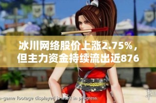 冰川网络股价上涨2.75%，但主力资金持续流出近876万元