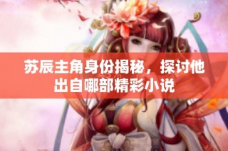 苏辰主角身份揭秘，探讨他出自哪部精彩小说