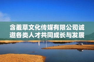 含羞草文化传媒有限公司诚邀各类人才共同成长与发展