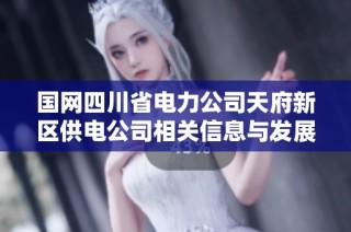 国网四川省电力公司天府新区供电公司相关信息与发展动态分析