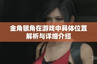 金角银角在游戏中具体位置解析与详细介绍