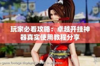 玩家必看攻略：卓越开挂神器真实使用教程分享