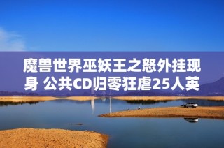 魔兽世界巫妖王之怒外挂现身 公共CD归零狂虐25人英雄难度巫妖王