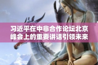 习近平在中非合作论坛北京峰会上的重要讲话引领未来合作发展