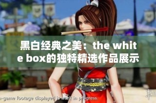 黑白经典之美：the white box的独特精选作品展示