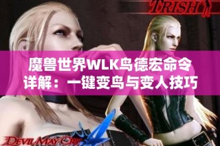 魔兽世界WLK鸟德宏命令详解：一键变鸟与变人技巧攻略
