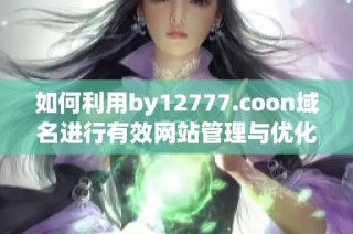 如何利用by12777.coon域名进行有效网站管理与优化