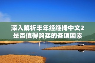 深入解析丰年经继拇中文2是否值得购买的各项因素