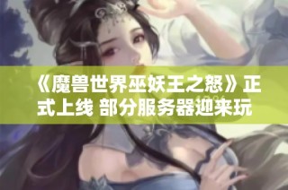 《魔兽世界巫妖王之怒》正式上线 部分服务器迎来玩家潮