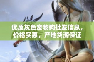 优质灰色宠物狗批发信息，价格实惠，产地货源保证