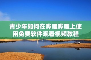 青少年如何在哔哩哔哩上使用免费软件观看视频教程