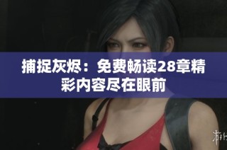 捕捉灰烬：免费畅读28章精彩内容尽在眼前