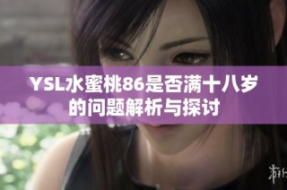 YSL水蜜桃86是否满十八岁的问题解析与探讨