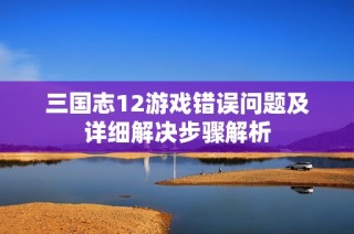 三国志12游戏错误问题及详细解决步骤解析