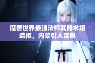 魔兽世界最强法师武器求组遭拒，内幕引人深思
