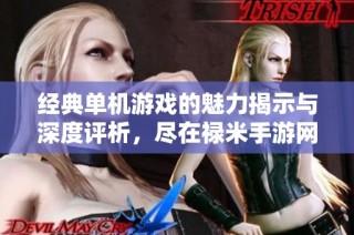 经典单机游戏的魅力揭示与深度评析，尽在禄米手游网